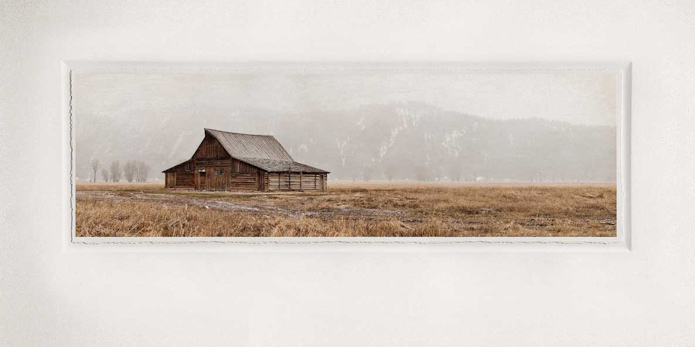 LongingforSpring by Lisa Dillon