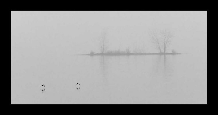 Morning Rendezvous by Ben E. Nickles